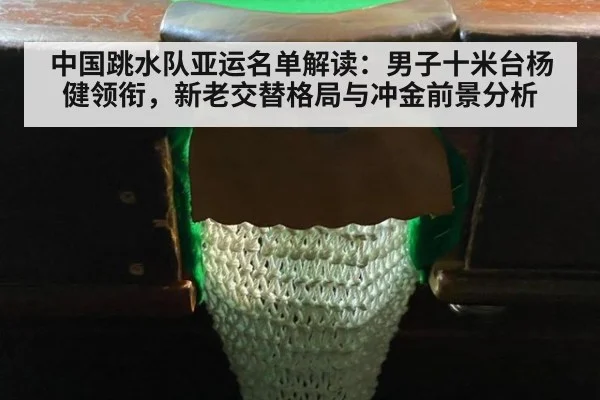 中国跳水队亚运名单解读：男子十米台杨健领衔，新老交替格局与冲金前景分析